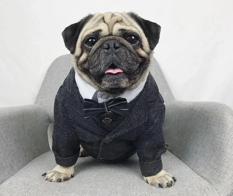 Одежда для собак, жилет для свадебной вечеринки, костюмы для маленьких и средних собак, куртка с Мопсом для французского бульдога, йоркширская толстовка с капюшоном, костюм BNC01
