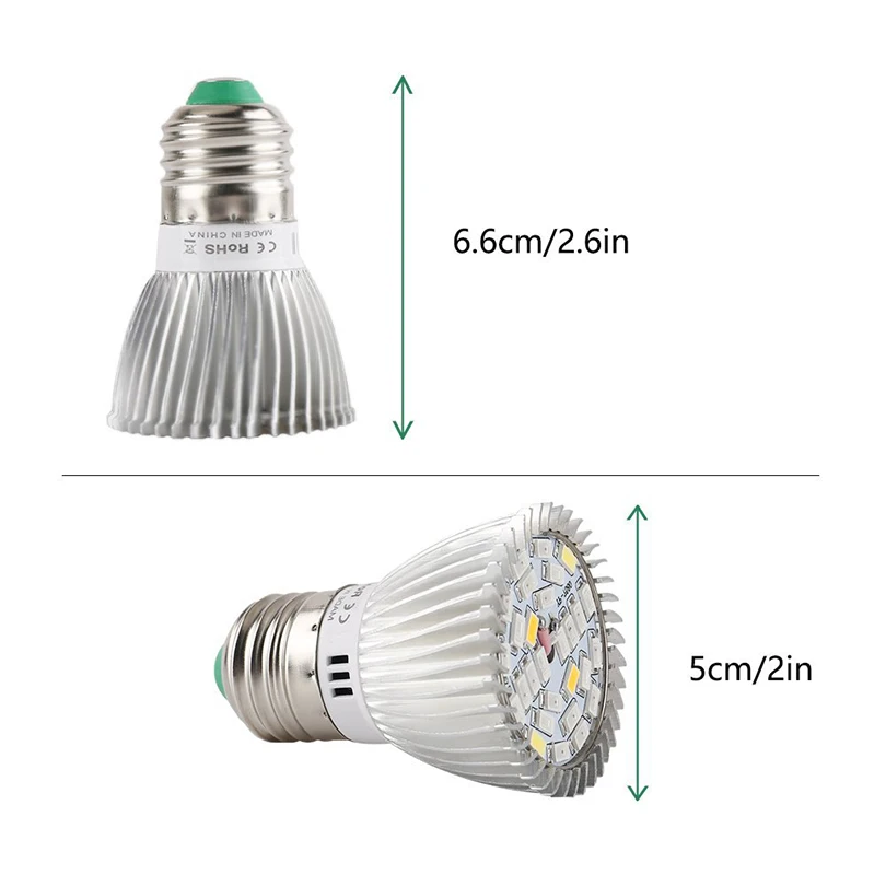 61xDflFN1uL._SL1000_