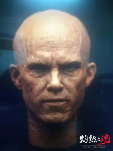 

1/6 Scale Deadpool Head Model Burn Edition Male Head Sculpt for 12 inches Male Action Figure