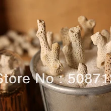 360 г/лот натуральный цвет веточки кораллов набивка/наполнитель для стеклянной крышки подвеска в виде флакона