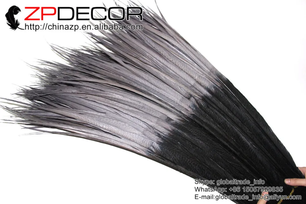 65-70cm Dyed grey and black golden pheasant tail feather (2)