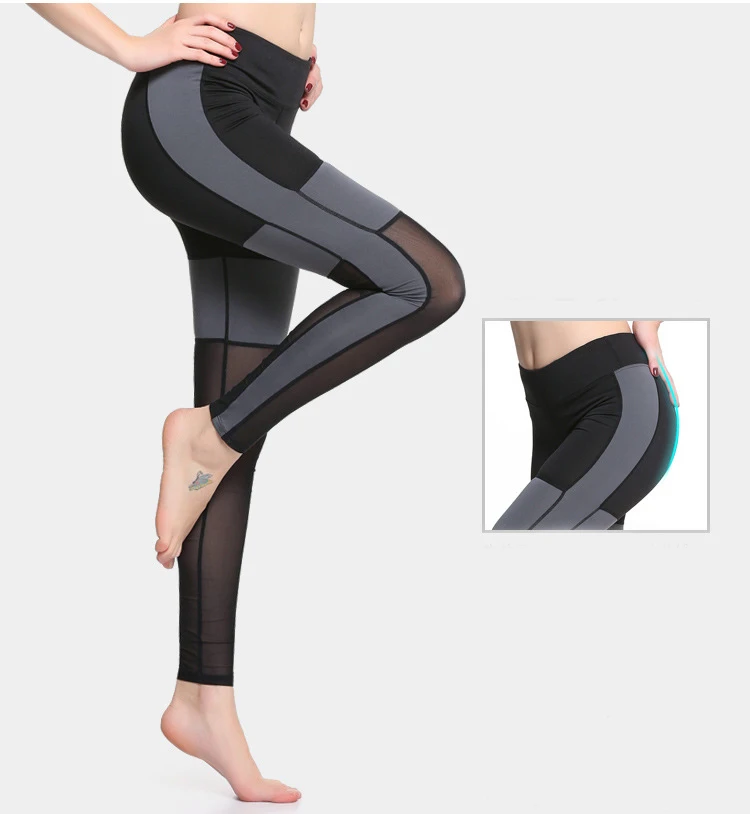 3930442481_1358179122