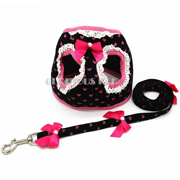 Dog Harness and Leash Set (7)