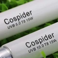 Coospider Rept Store