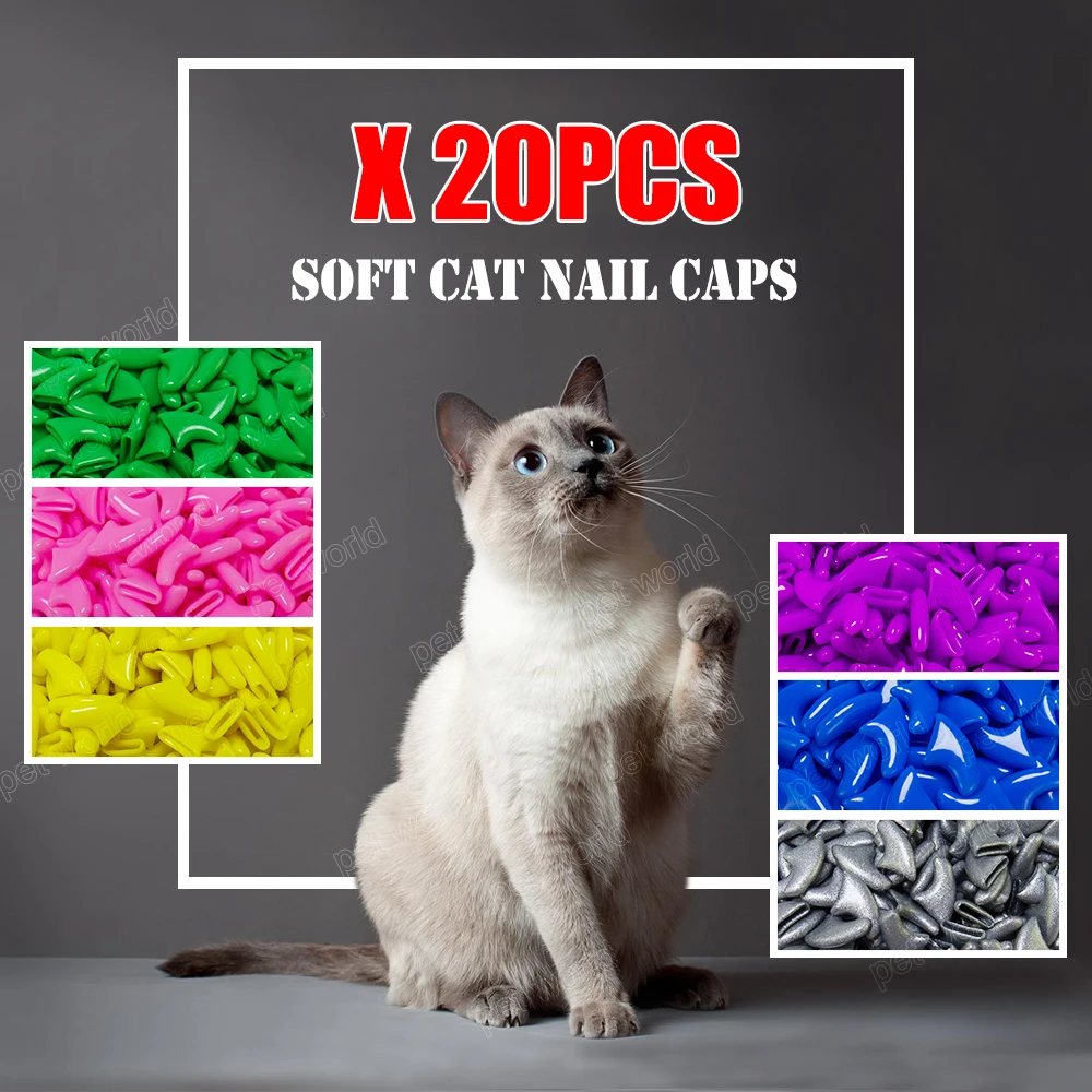 pet-world-20pcs