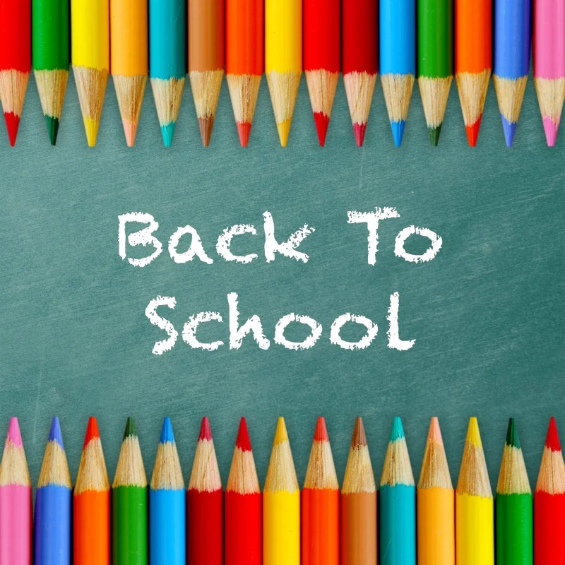 Laeacco Chalkboard Pencil Blackboard School Party Photography Backgrounds Customized Photographic Backdrops For Photo Studio | Электроника