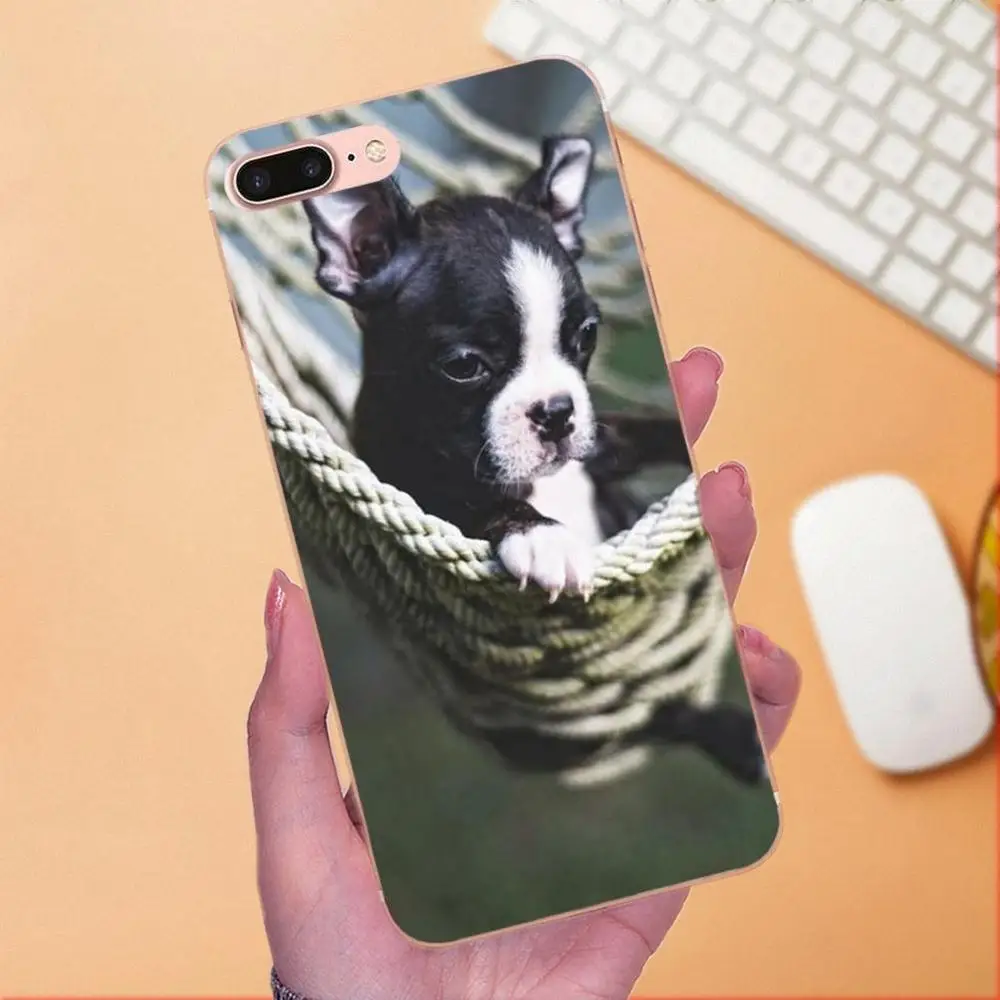 Чехол из ТПУ с изображением щенков Бостонского терьера для Samsung Galaxy Note 5 8 9 S3 S4 S5 S6 S7