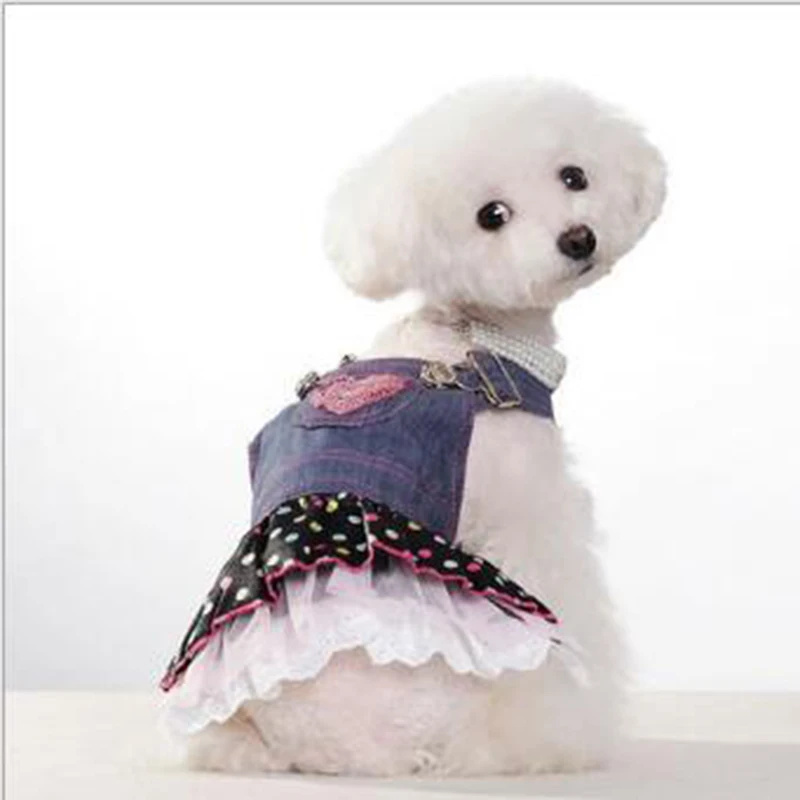 QQ20190509140931 