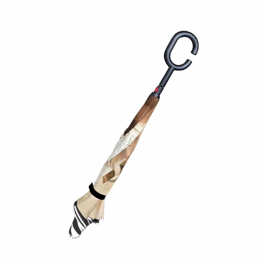 g4078831p183c217s313_3