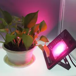 Оригинальный 50 Вт полный спектр светодиодный свет для выращивания растений прожектор водонепроницаемый ультра тонкий для внутреннего