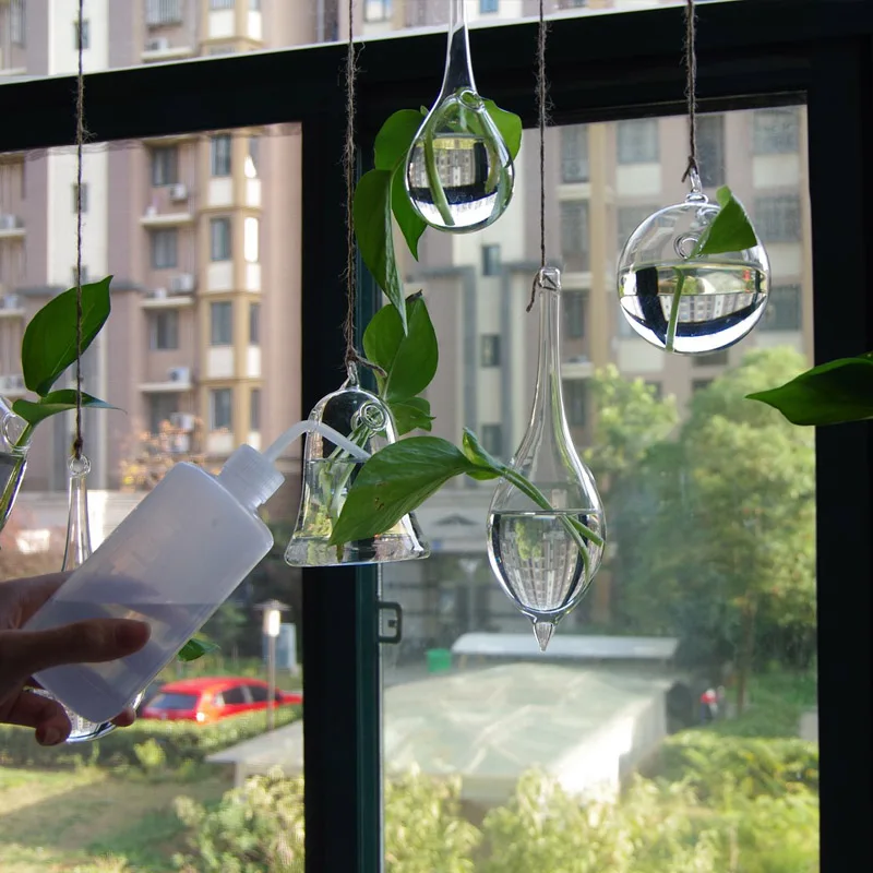 Transparent glass vase home hydroponic brief flower at decoration small bottle|crystal pot|hanging vaseglass |