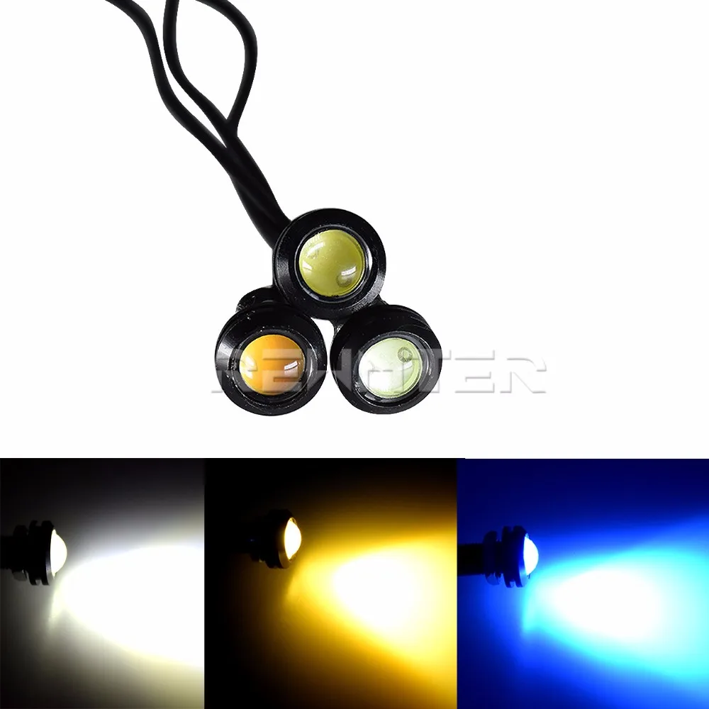 Eagle Light LA0067a