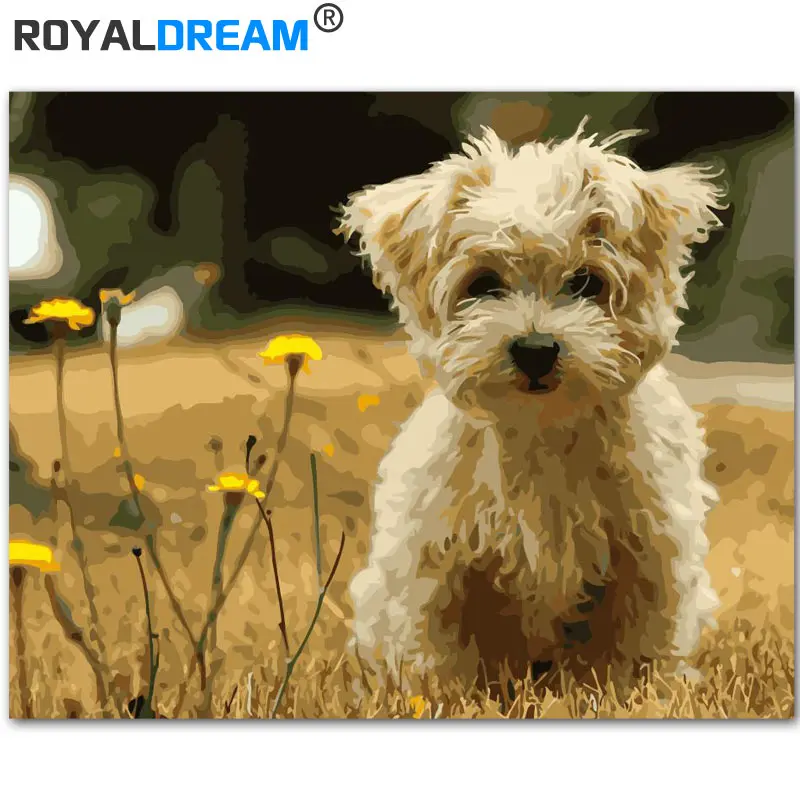 ROYALDREAM милый щенок животное DIY Рисование по номерам Акриловая Краска ручная