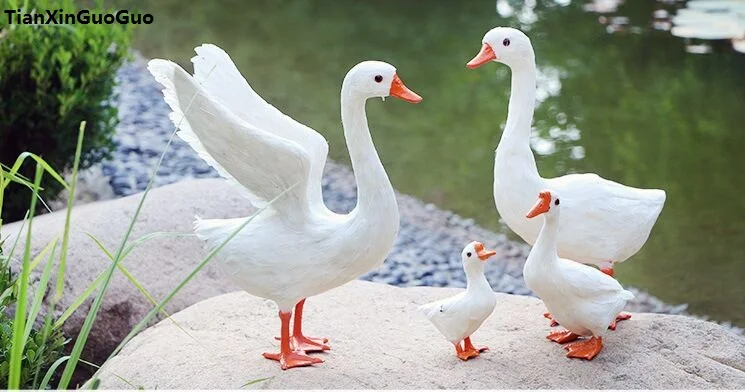 

simulation white goose hard model polyethylene&furs feathers geese one lot/ 4 pieces,craft furnishing decoration s1326