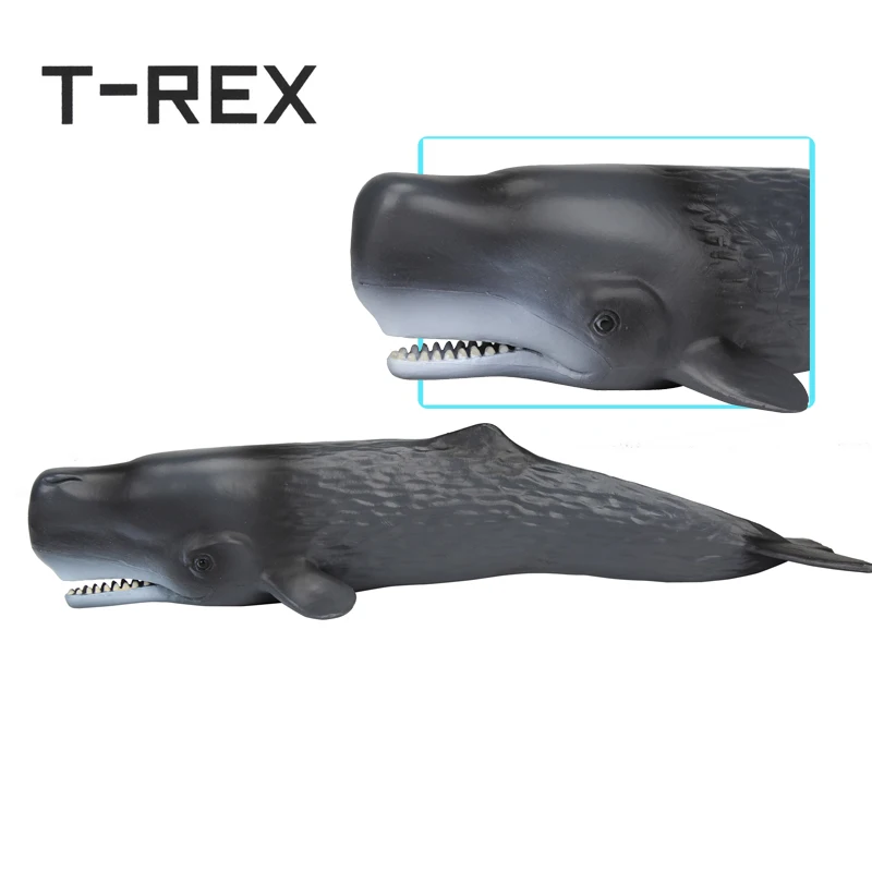 24 CM Sperm Whale Cachalote Sea Life Simulation Animal PVC Model Toys Action Figure Collection Gifts