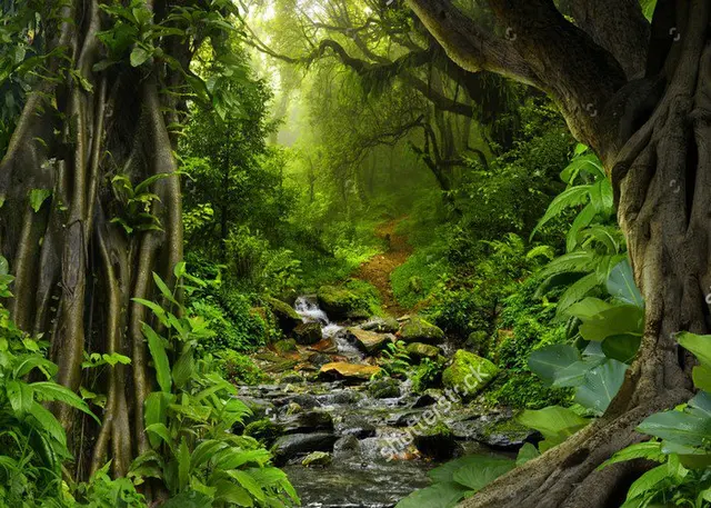 tropical jungle with river photo backdrop vinyl cloth high quality