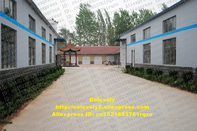 3 Processing workshop