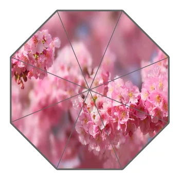 

New Arrival Sakura Flower Umbrellas Non-Automatic Folding Women Rain Umbrella Customized Fashion Portable Umbrella Gift