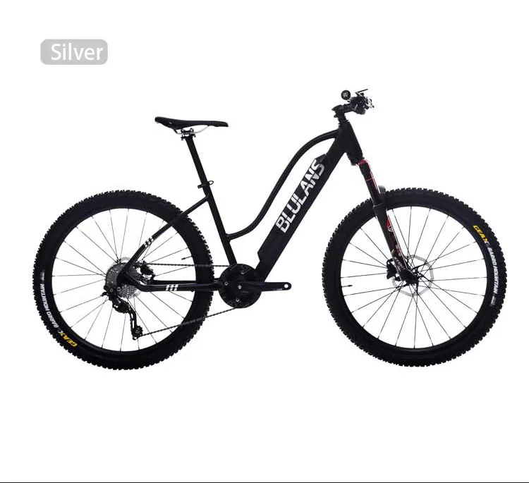 Электрический велосипед 36 В литиевая батарея 250 Вт Mid-motor электрический горный bikeElectric power road E-bike EU no tax - Цвет: SILVER