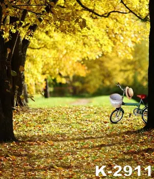 

Photographic Backdrops Autumn Newest Popular Fundo Backgrounds For Studio Photo Bicycle Props 5X7ft Forest fotostudio Backdrops