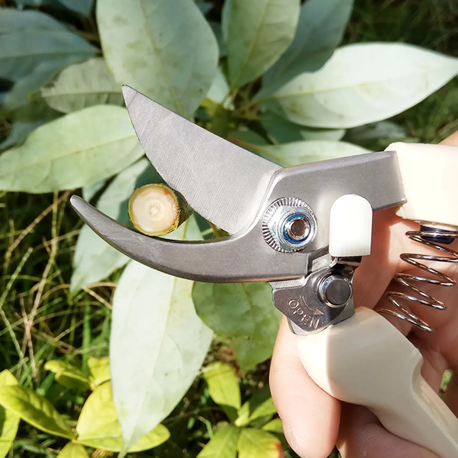 Tanio Behogar profesjonalne nożyczki do przycinania ogrodu ze stali nierdzewnej sklep