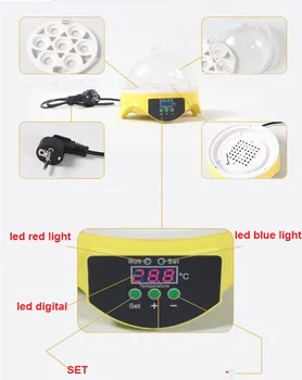 

Automatic 7 Eggs Turning Poultry Incubator Digital Temperature Control Pigeon Hatcher Chicken Duck Bird Pigeon Hatcher