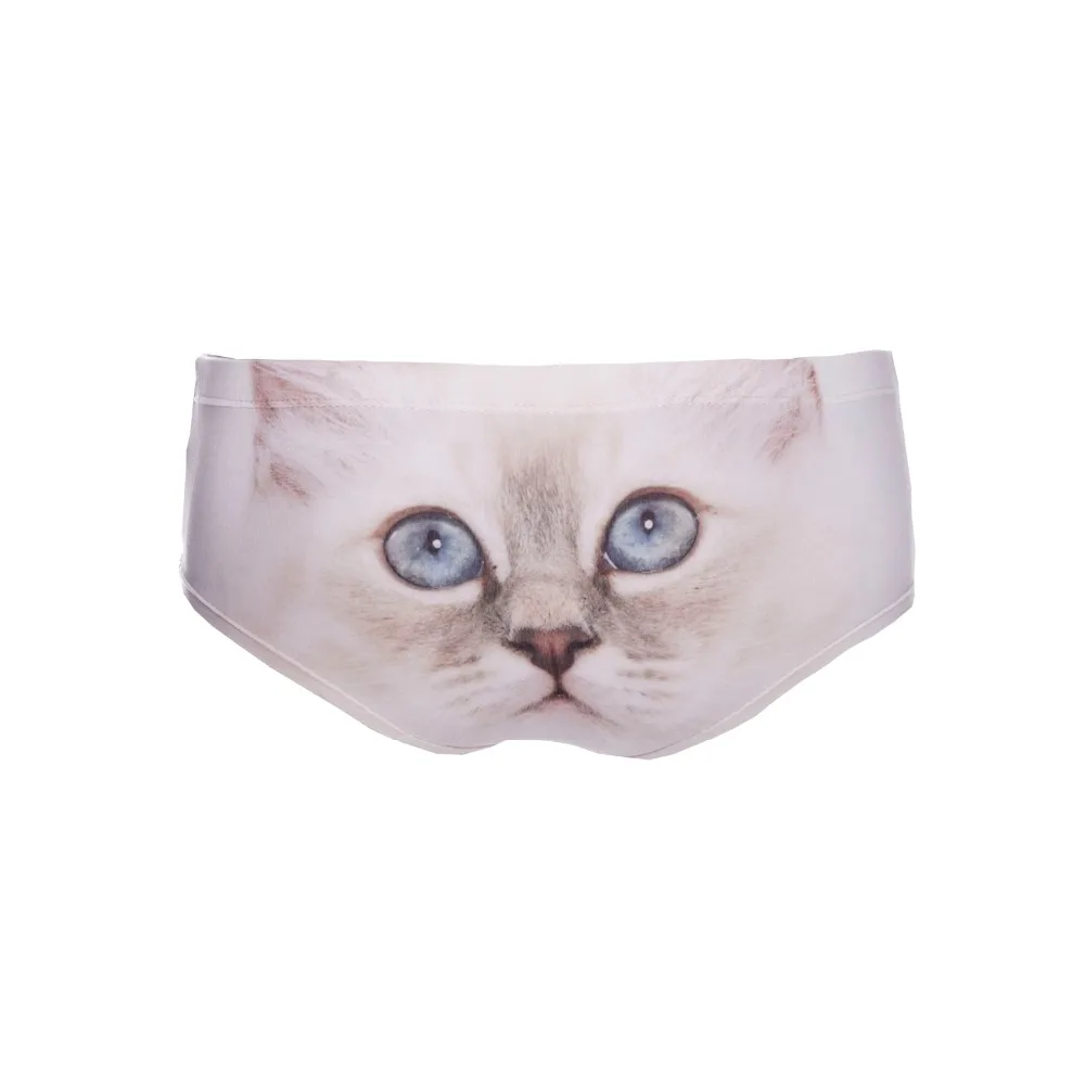 39064 sad kitty (5)