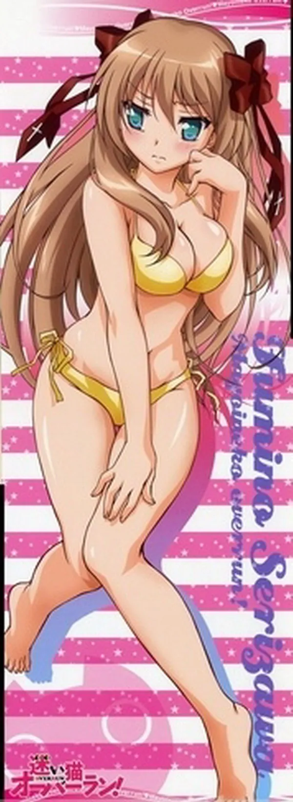 Mayoi Neko O Tomeyou