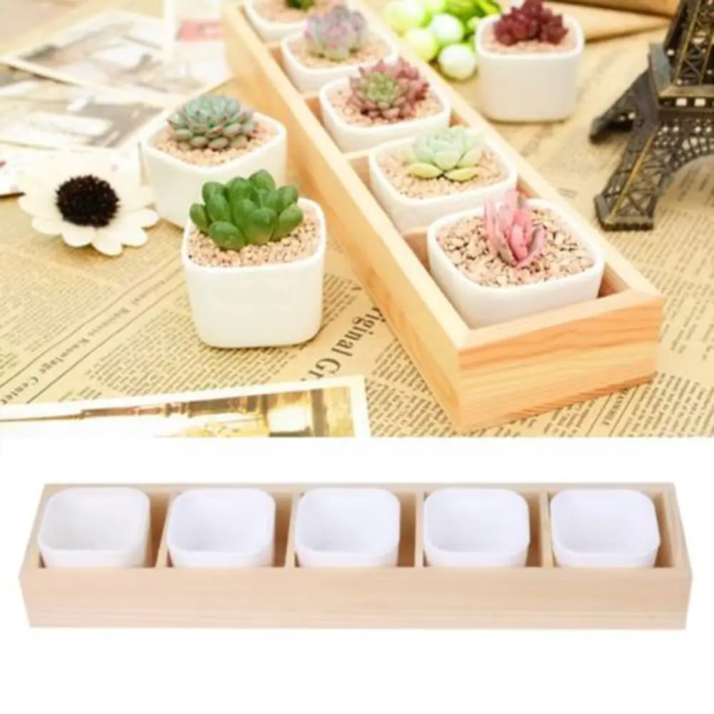 

Succulent Plant Fleshy Flower Decorative Square Pot Box Container Plastic 5.5x4.2cm Square Plant Pot Garden Planter