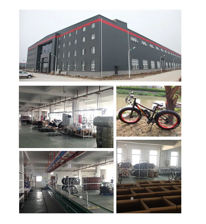 High Quality bicycle distributor
