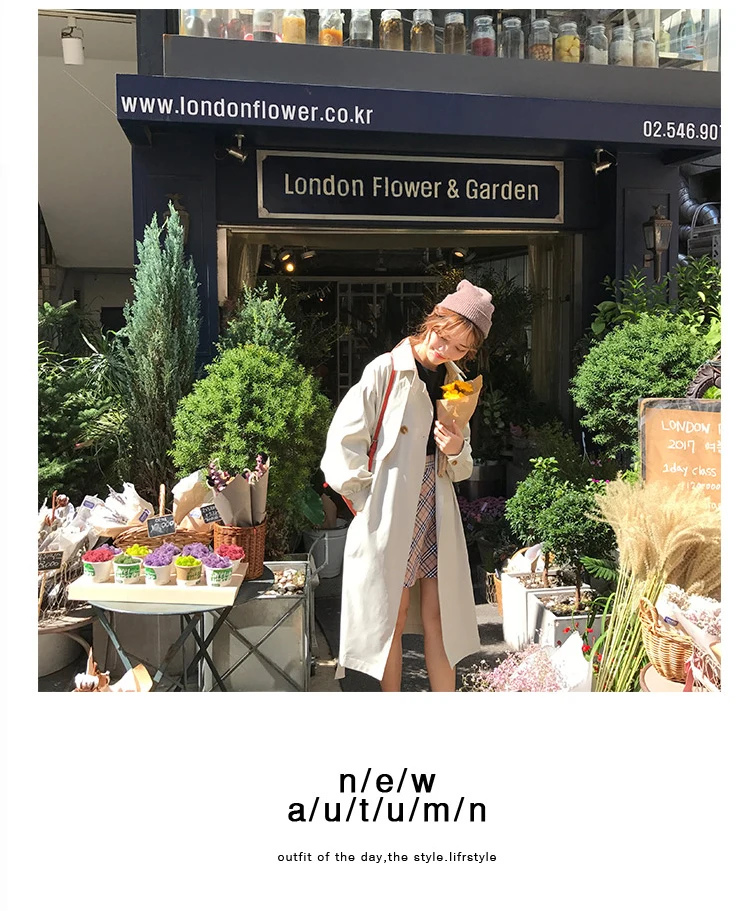 sccnn_06
