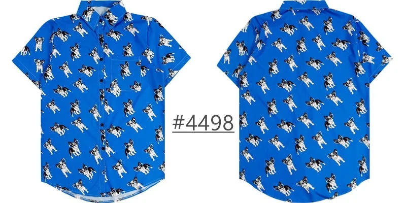 4 T4498 Blue