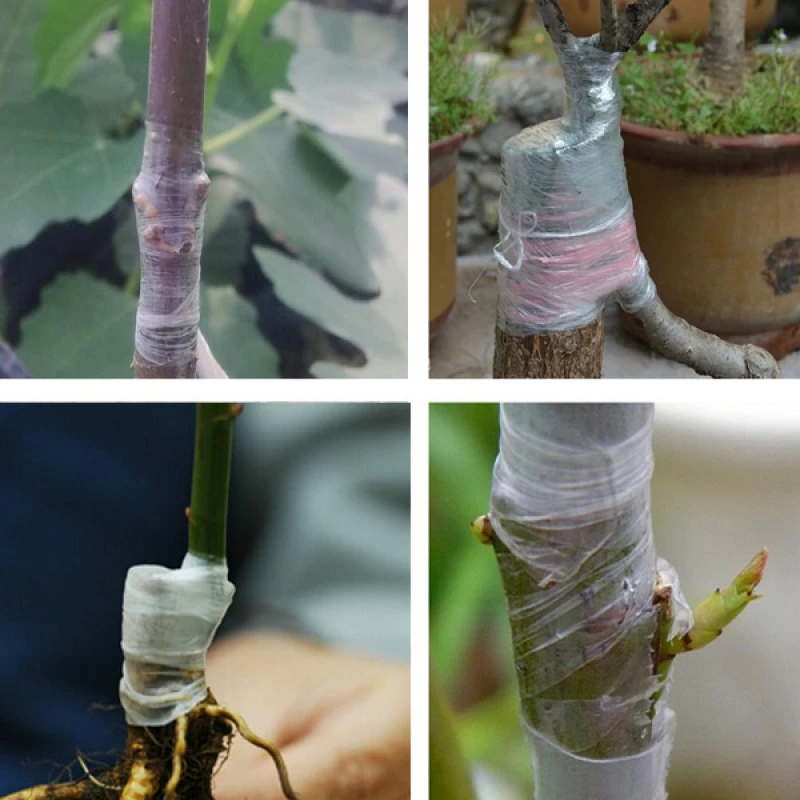 25cm-x-100m-Degradable-Garden-Plant-Tie-Tape-Flower-Vegetable-Grafting-Tape-Random-Delivery_2_800x800