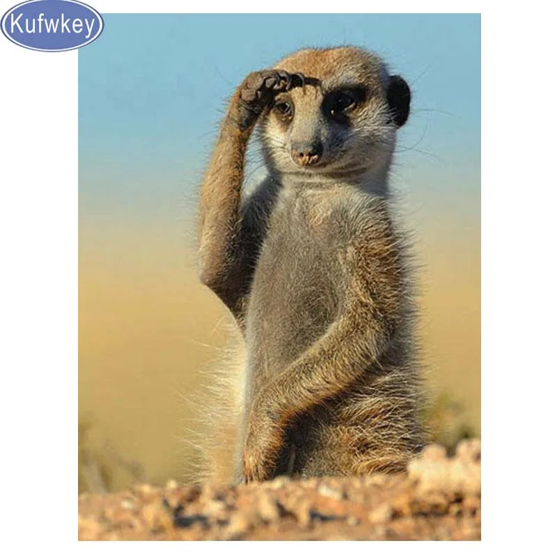 

diamond embroidery animal 5d diy diamond painting Meerkat cross stitch full square round mosaic diamond picture of rhinestones