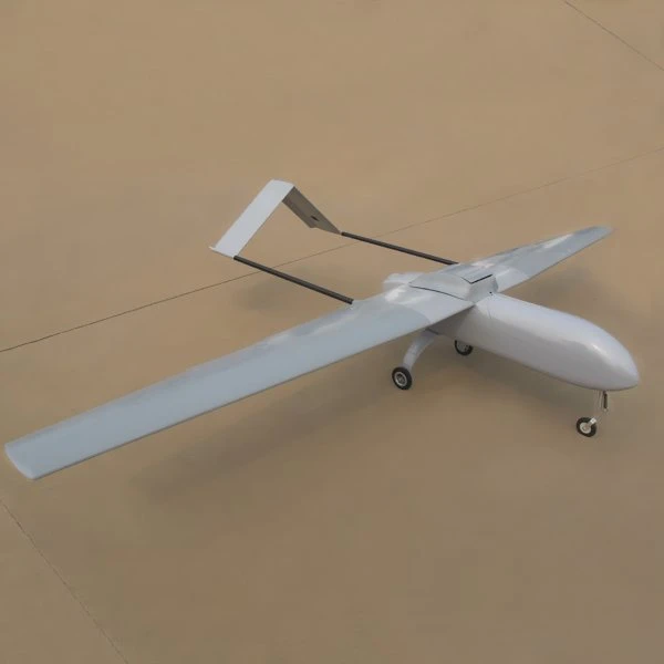 gas remote control airplane