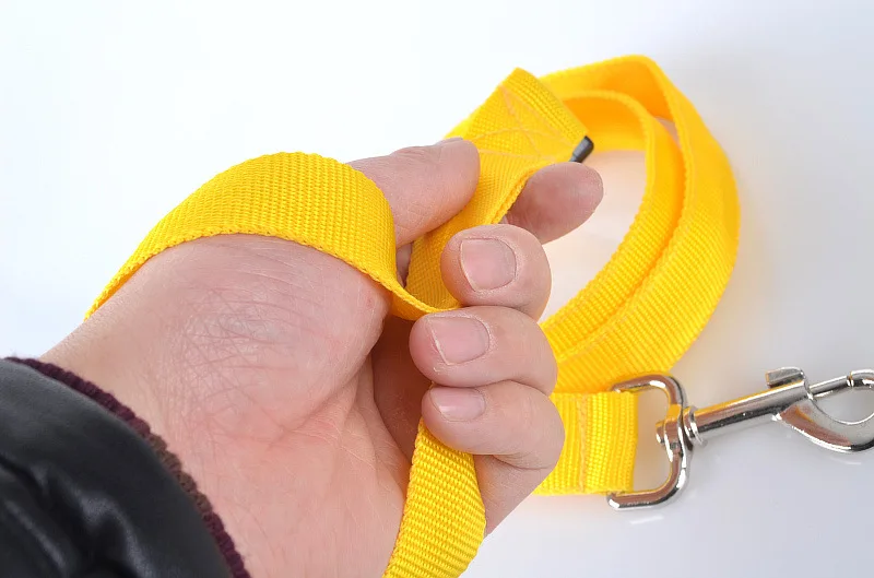 G10_120cm_Nylon_Pet_LED_Dog_Leash_Night_Safety_LED_Flashing_Glow_LED_Pet_Cat_Dogs_Drawing_Small_Leads_for_LED_Dog_Collar_ (17)