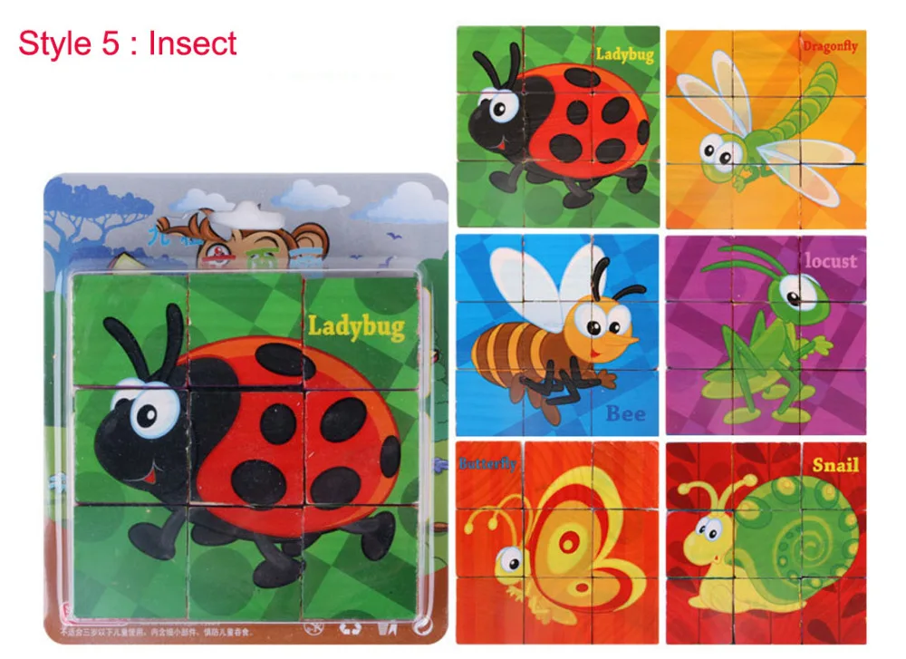 Q5 insect