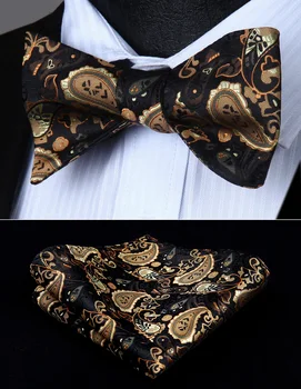 

BP711ZS Brown Paisley Bowtie Men Butterfly Silk Self Bow Tie handkerchief set