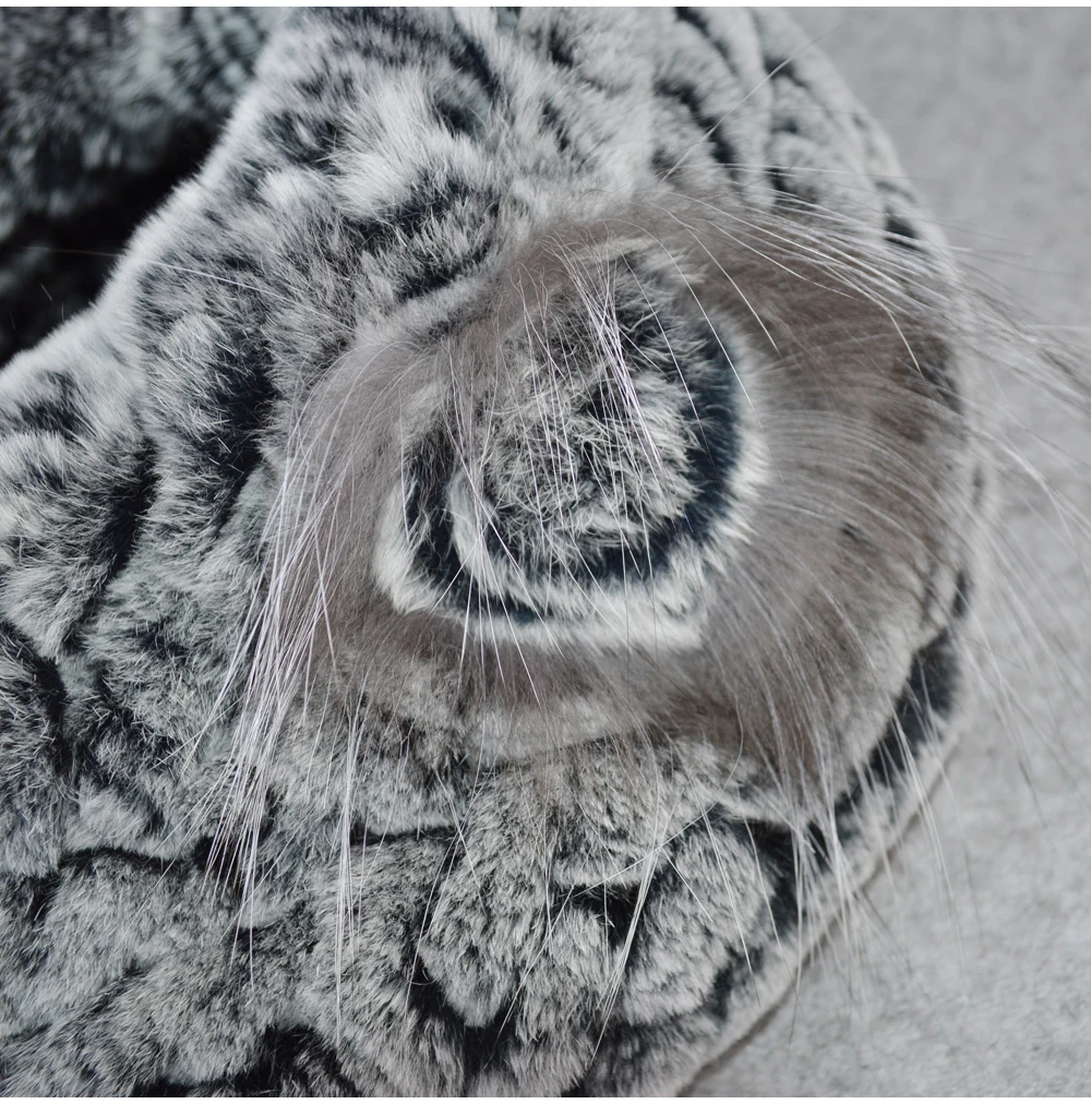 Q10 (6)