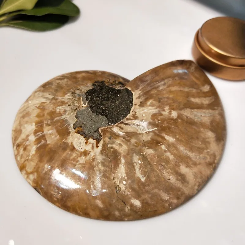 conew_img20190317164602