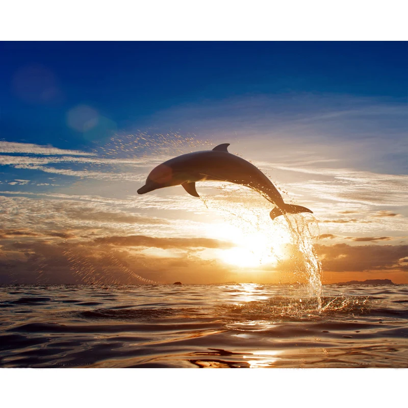 Картина по номерам DIY дропшиппинг 40x50 50x65 см Дельфин прыжки в море животное холст Свадебные украшения художественная картина подарок