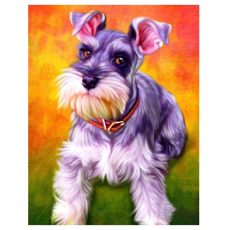 poodle dog 999