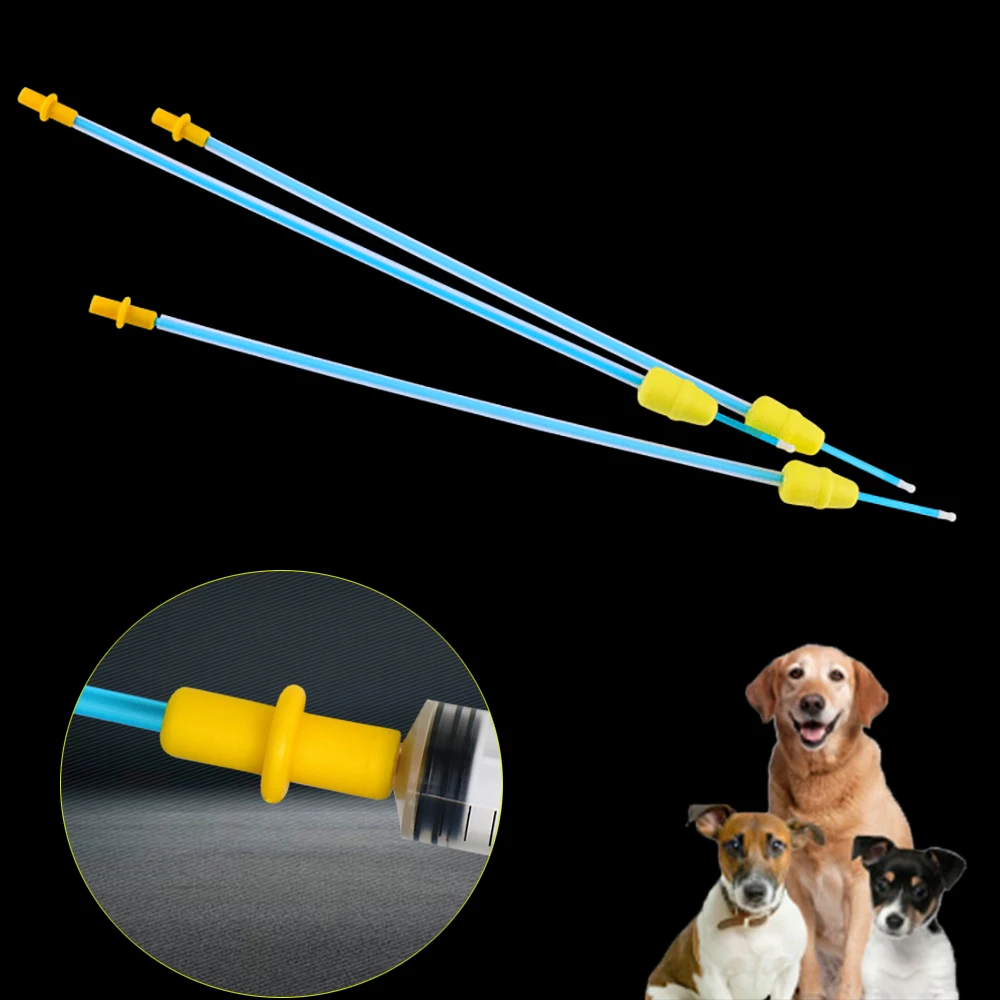 Canine Artificial Insemination Supplies 2025