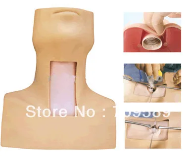 ISO HR/J58 Cricothyrotomy, трахеостомической тренажер, кормящих модель