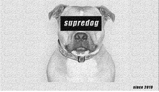 SUPREPET Pet Dog Clothes Winter Warm Dog Coat for French Bulldog