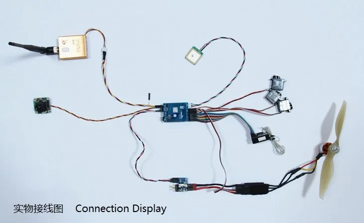 Ab-FK3.1_CT (2).jpg