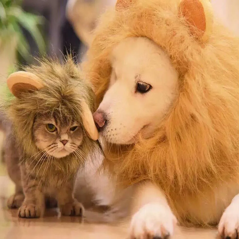 TB2wqINXZsX61Bjy1XdXXa0aFXa_!!373103672