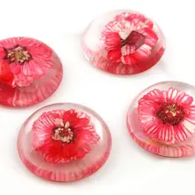 Новая мода 5 шт 25 мм Натуральные сушеные цветы с плоской задней стороной Кабошоны Камея G3-15