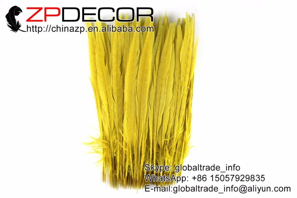 yellow ringneck pheasant feathers (6)