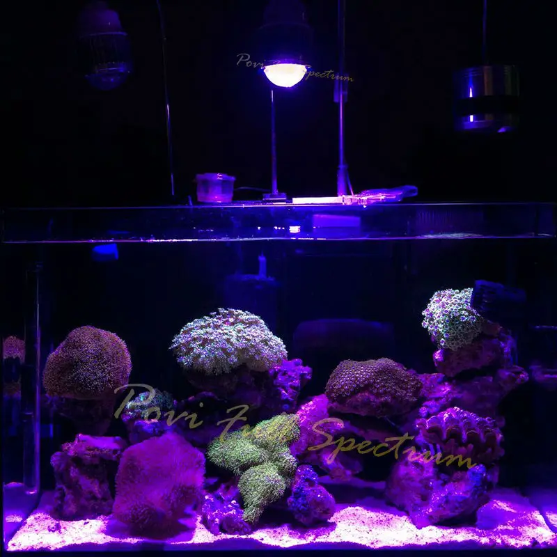 POVI 100W70W50W30W LED coral Аквариум лампы для коралловых Легкая Установка fish tank освещения